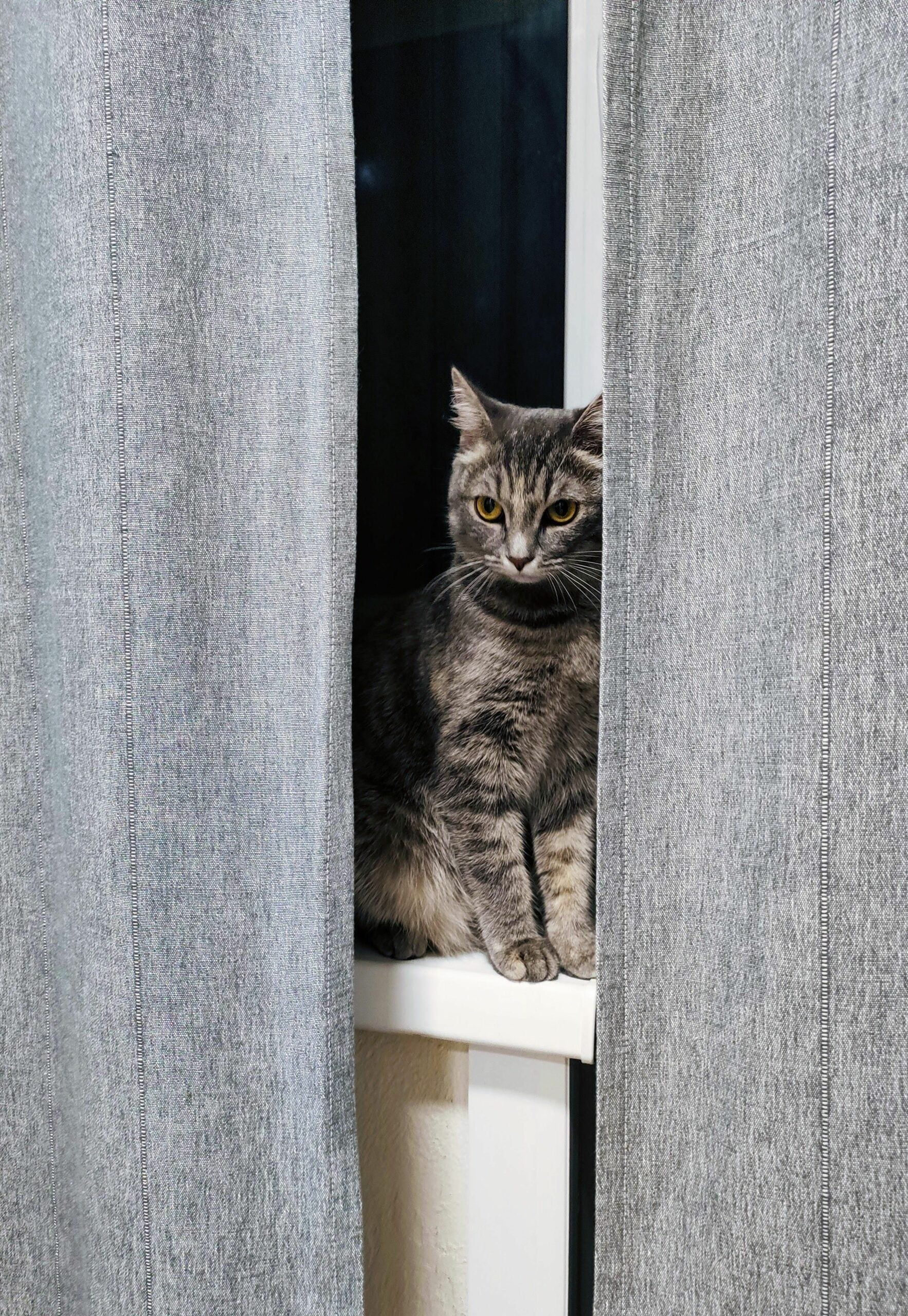 2c1489366b8d46d3807b53388be7308f