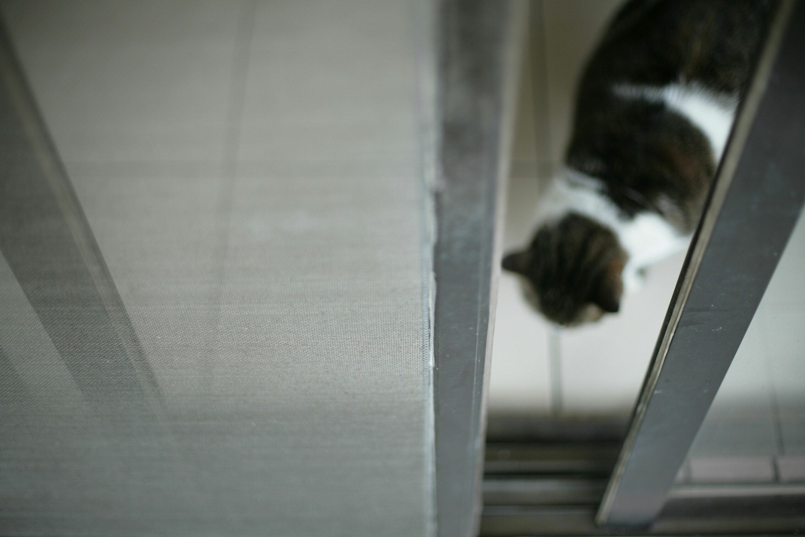 4a0721f70f8040beb8eae44f2fc38ddc