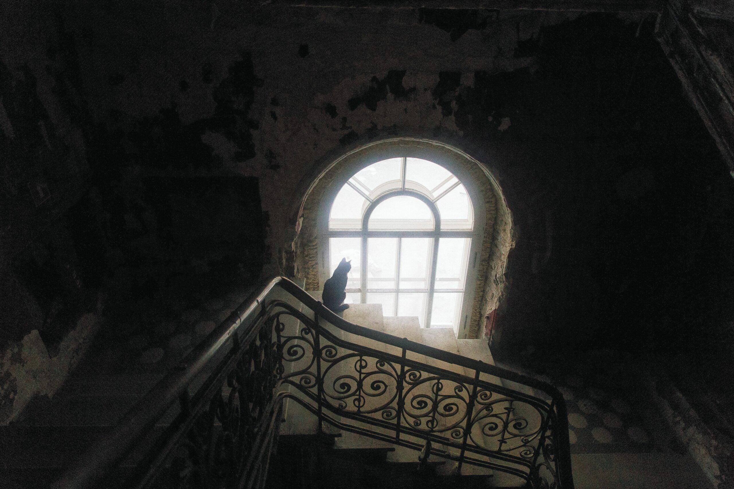 4e58a1bde0404fcda8530e85ee566ec1