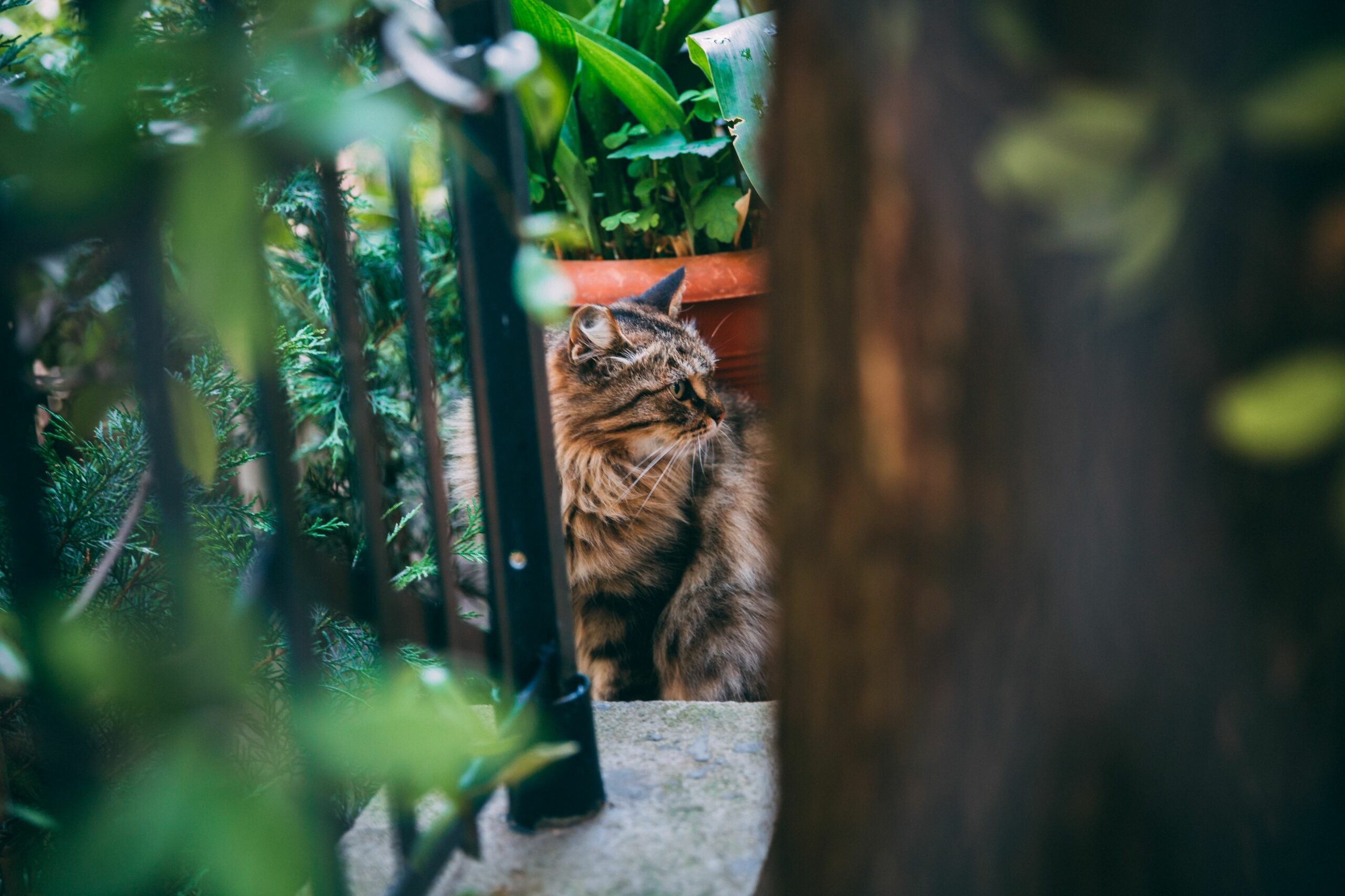 776130bfd1f74a1781cc96e04dd3b300