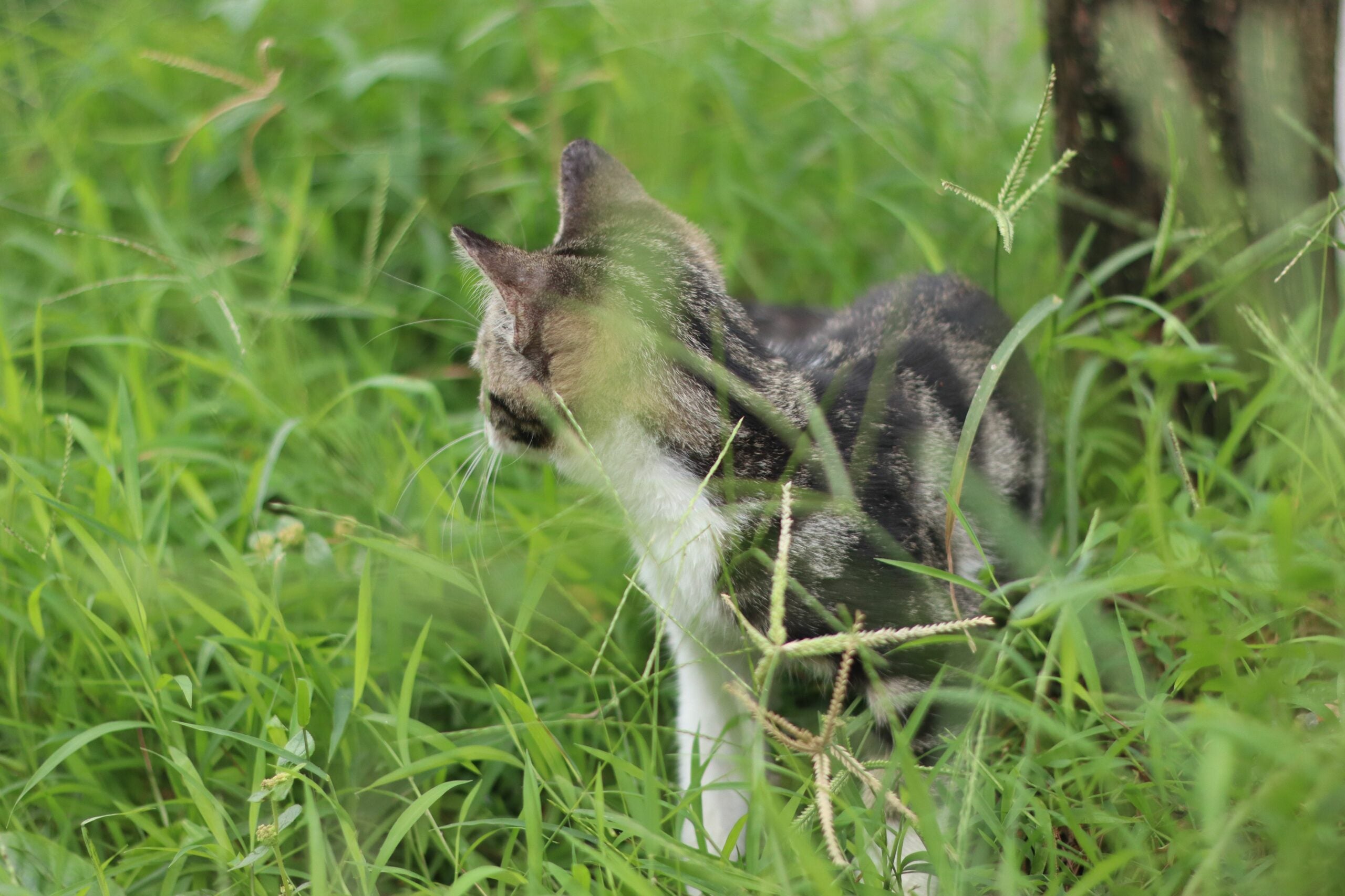 a6fa316c147a4836b65b6ff4b2332c59