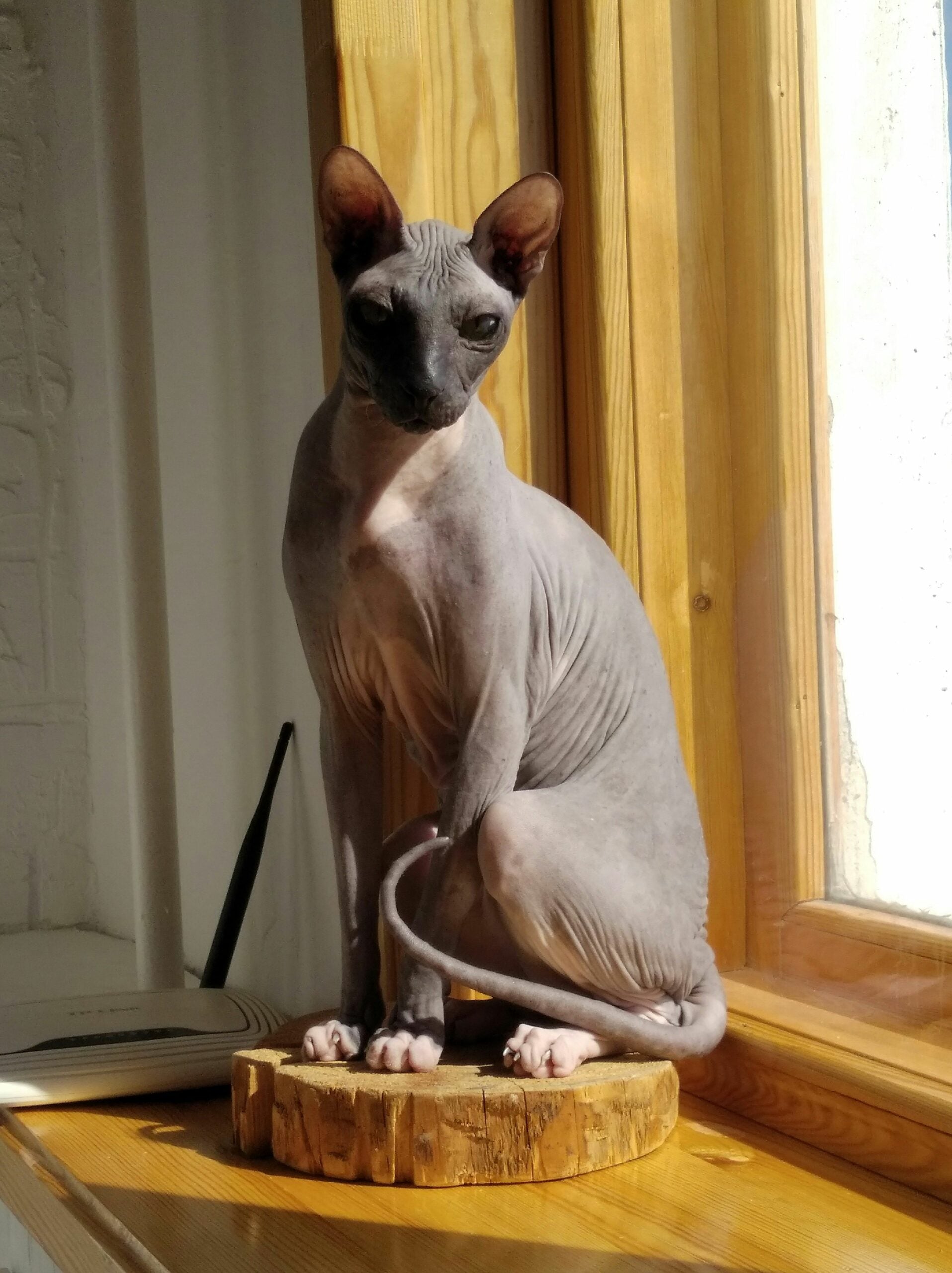 b48d11a4bbab475e8313bab0f9962dd0