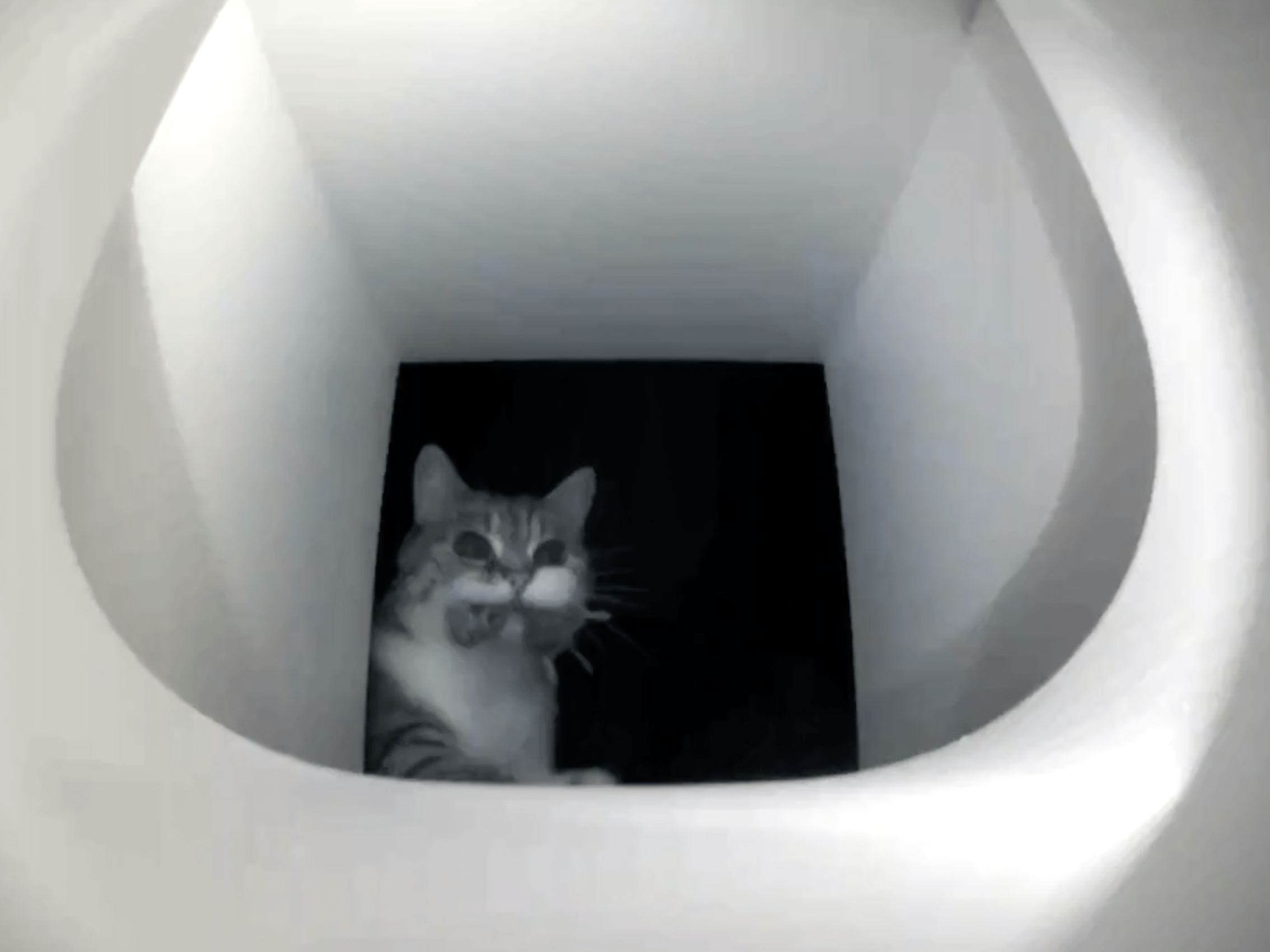 Video laden: