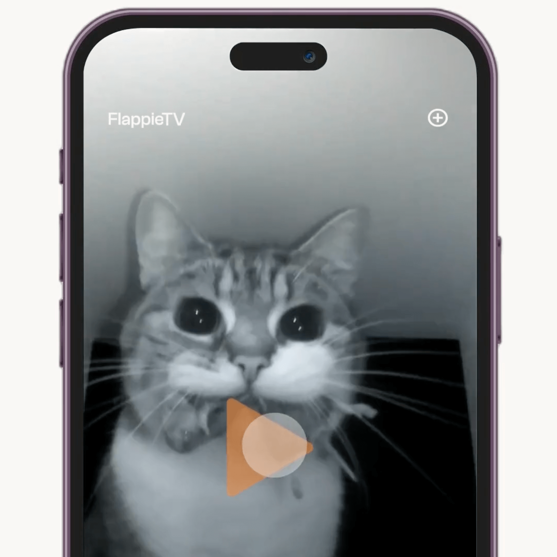 Video laden:
